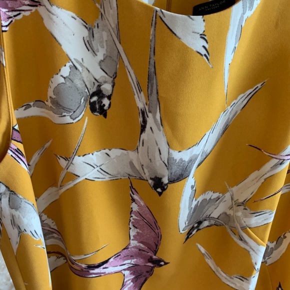 Ann Taylor bird sheath dress. Worn once. Retail 129 - Picture 4 of 4